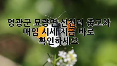 영광군 묘량면 신천리 중고차 매입 시세, 지금 바로 확인하세요! 🚗💨