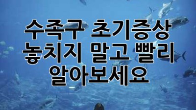 수족구 초기증상, 놓치지 말고 빨리 알아보세요!